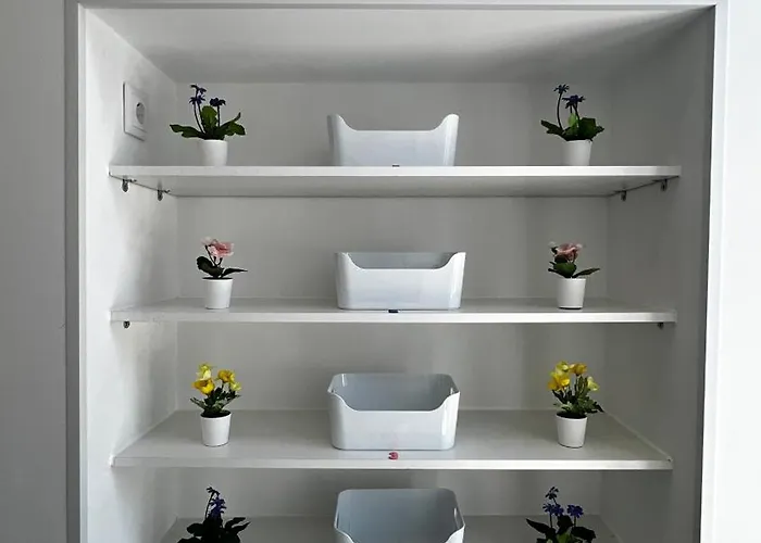 New Chill Accommodatie bij particulieren